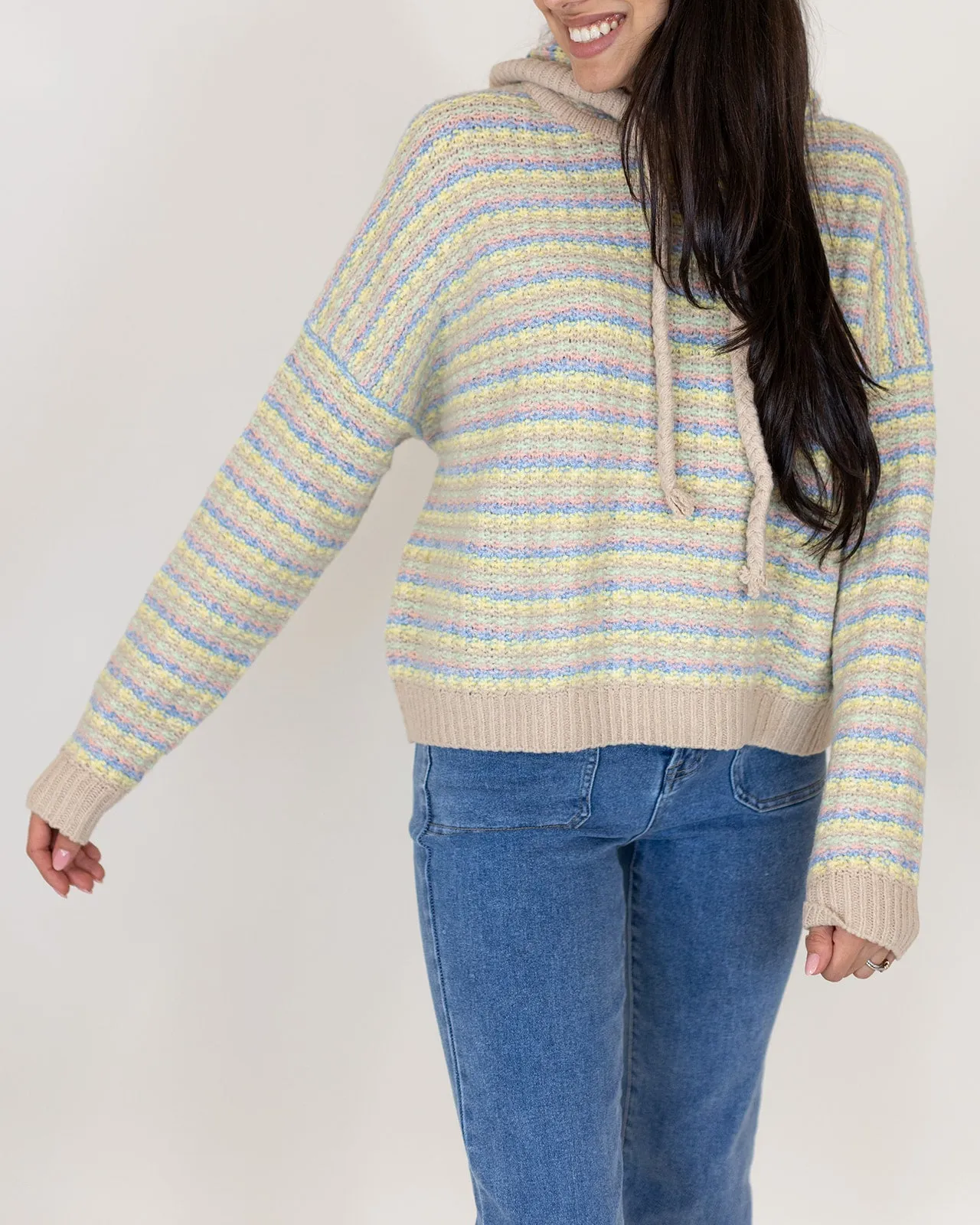 Edin Stripe Hooded Sweater | FINAL SALE