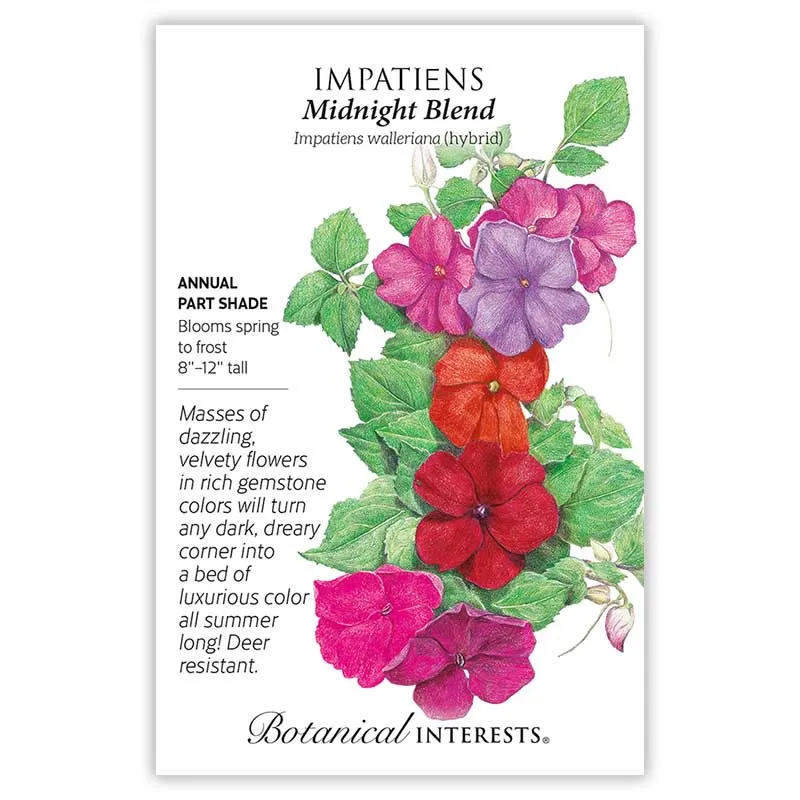 Midnight Blend Impatiens Seeds