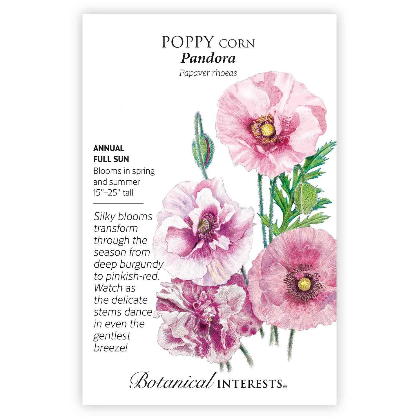 Pandora Poppy Seeds